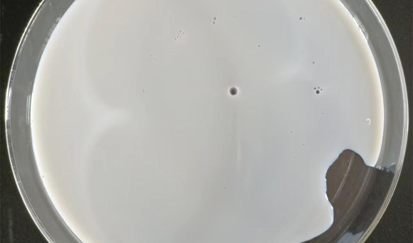 SBR樹脂（SBR丁苯乳膠樹脂）